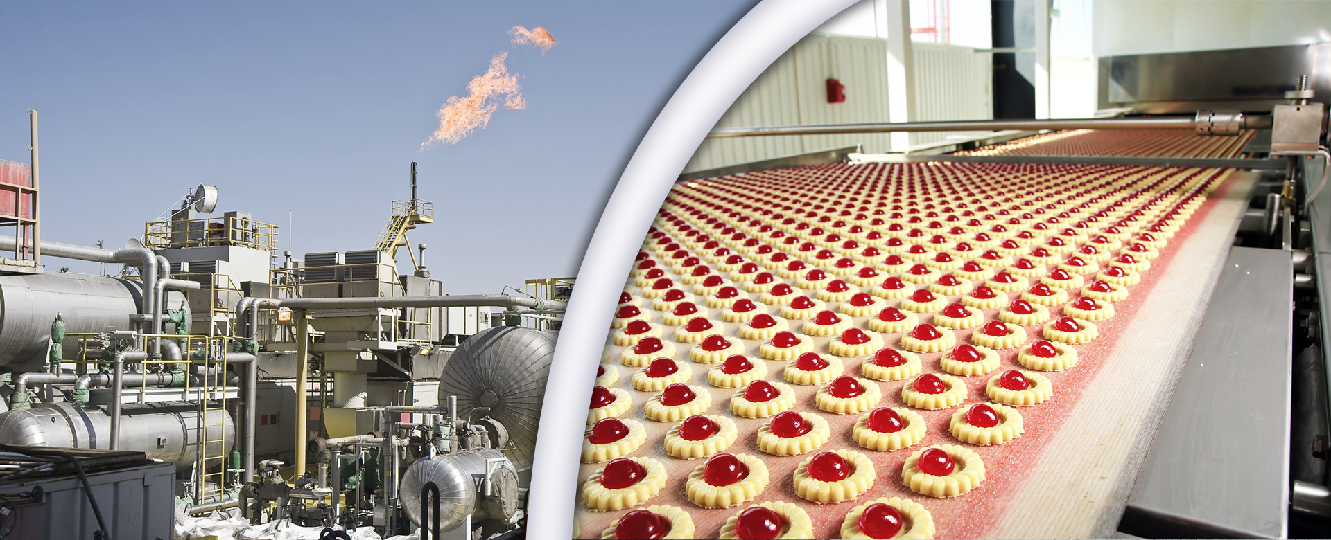 <p>כל פתרונות המכשור והבקרה לתחומי תעשייה נרחבים: מזון, פרמצבטיקה, כימיה, שפכים, אנרגיה ועוד…</p> 